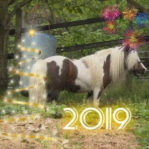 Meet your Posher, Luraye